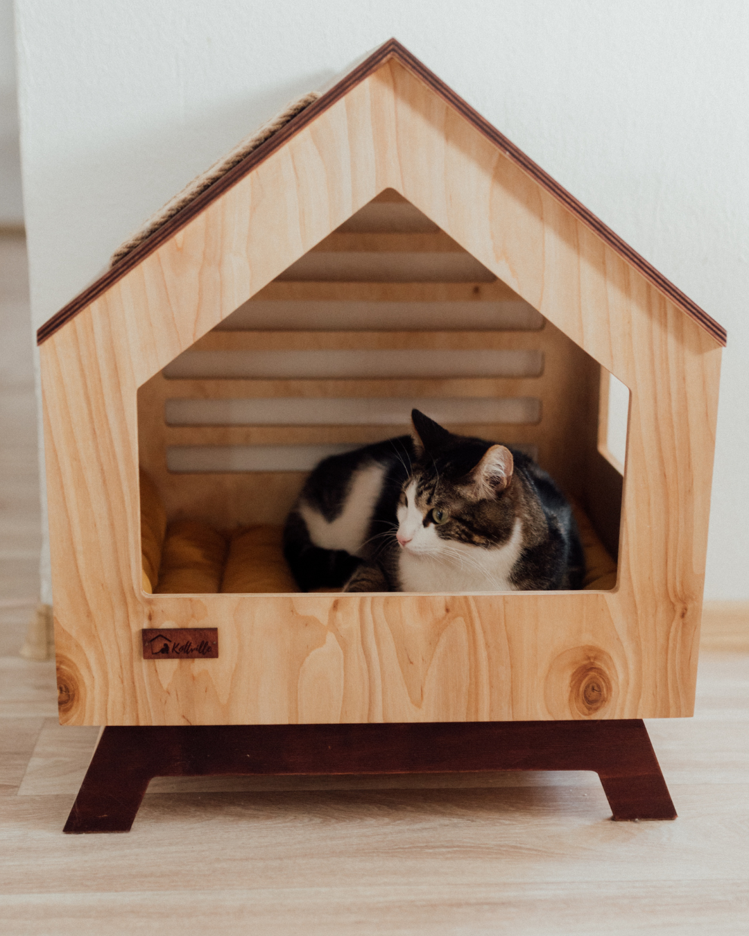 Casas Pet Friendly: cómo diseñar un hogar pensado para toda la familia, incluidas las mascotas